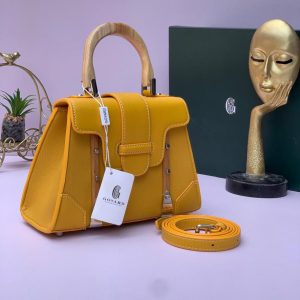 Goyard designers bag